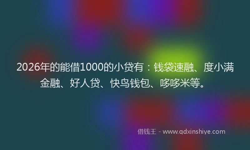2026年的能借1000的小贷有：钱袋速融、度小满金融、好人贷、快鸟钱包、哆哆米等。