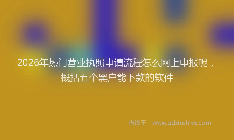 2026年热门营业执照申请流程怎么网上申报呢，概括五个黑户能下款的软件