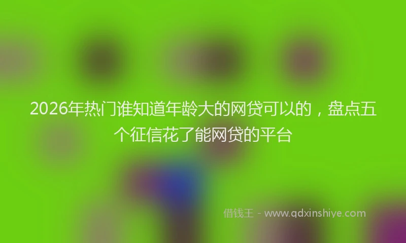 2026年热门谁知道年龄大的网贷可以的，盘点五个征信花了能网贷的平台