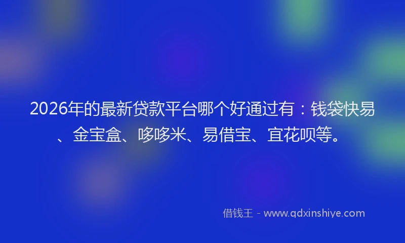 2026年的最新贷款平台哪个好通过有：钱袋快易、金宝盒、哆哆米、易借宝、宜花呗等。