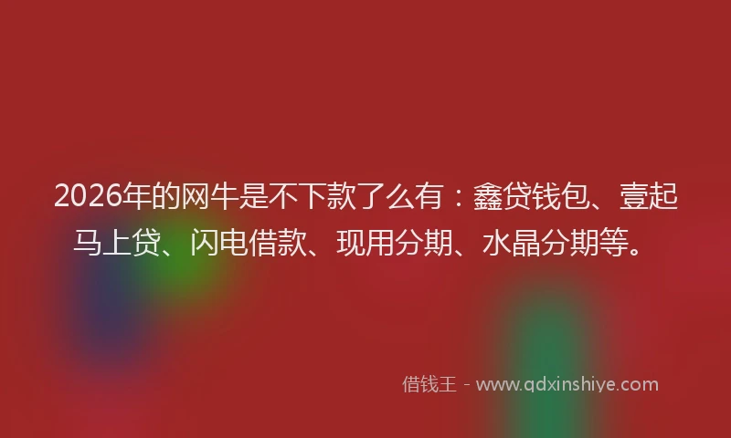 2026年的网牛是不下款了么有：鑫贷钱包、壹起马上贷、闪电借款、现用分期、水晶分期等。