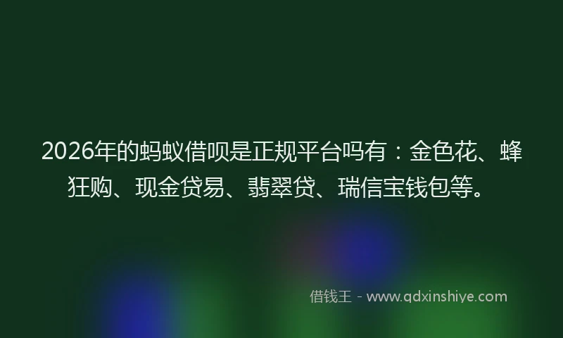2026年的蚂蚁借呗是正规平台吗有：金色花、蜂狂购、现金贷易、翡翠贷、瑞信宝钱包等。