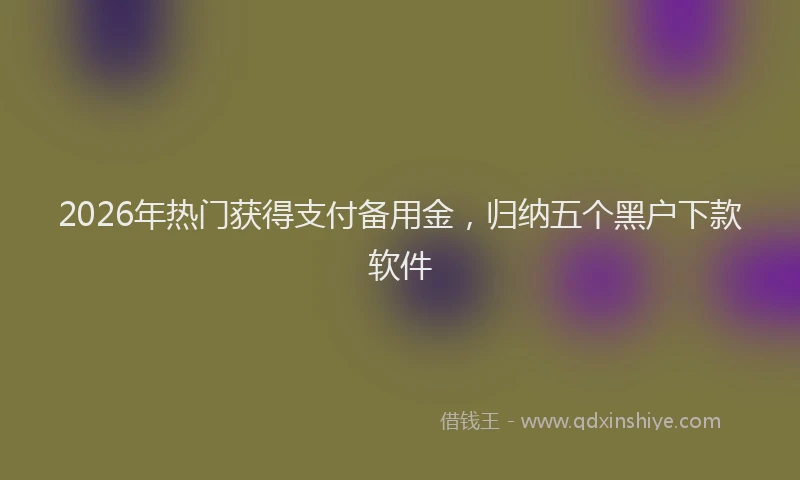 2026年热门获得支付备用金，归纳五个黑户下款软件