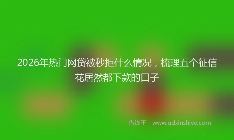 2026年热门网贷被秒拒什么情况，梳理五个征信花居然都下款的口子