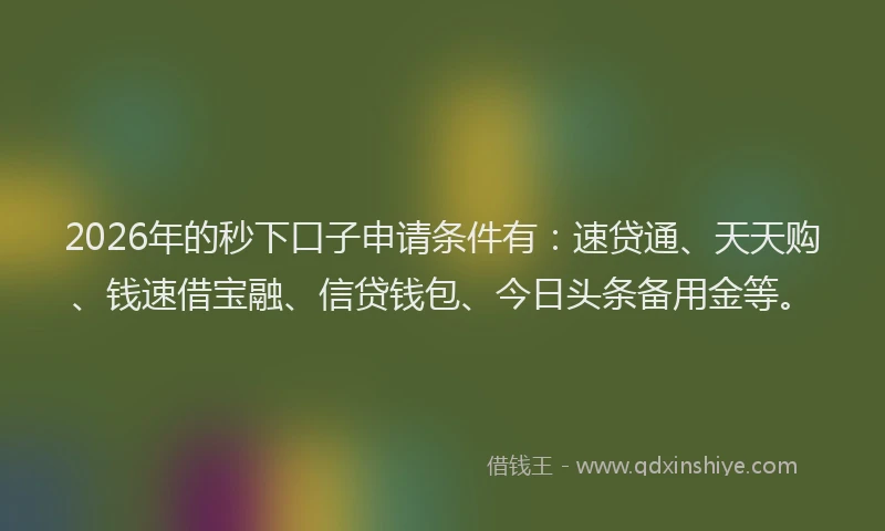 2026年的秒下口子申请条件有：速贷通、天天购、钱速借宝融、信贷钱包、今日头条备用金等。