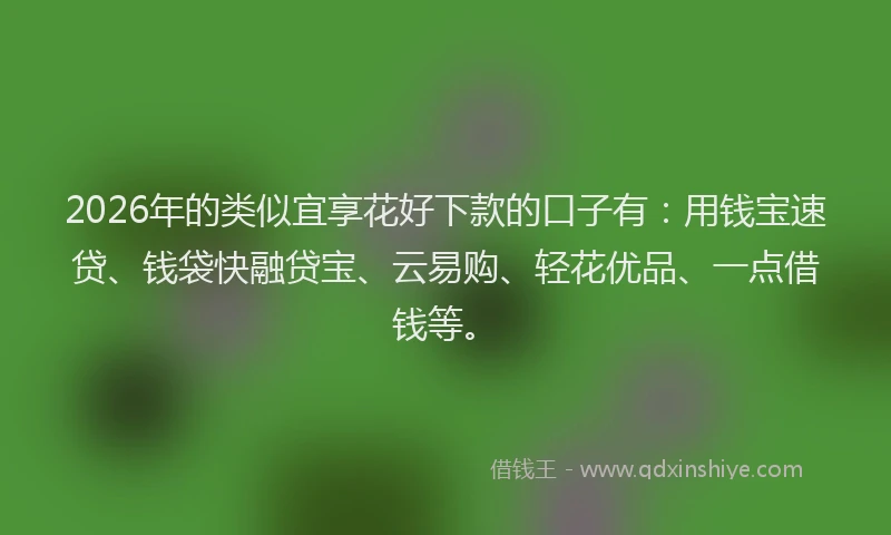 2026年的类似宜享花好下款的口子有：用钱宝速贷、钱袋快融贷宝、云易购、轻花优品、一点借钱等。