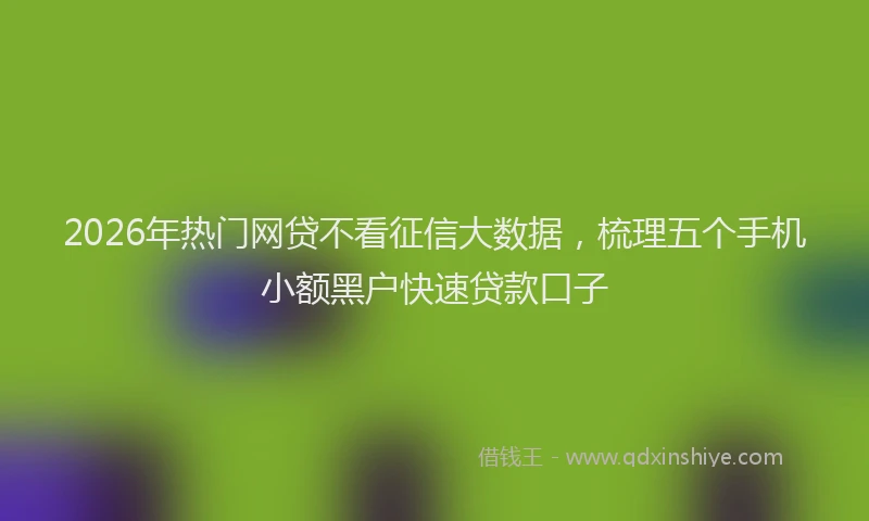 2026年热门网贷不看征信大数据，梳理五个手机小额黑户快速贷款口子