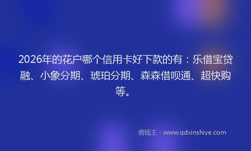 2026年的花户哪个信用卡好下款的有：乐借宝贷融、小象分期、琥珀分期、森森借呗通、超快购等。