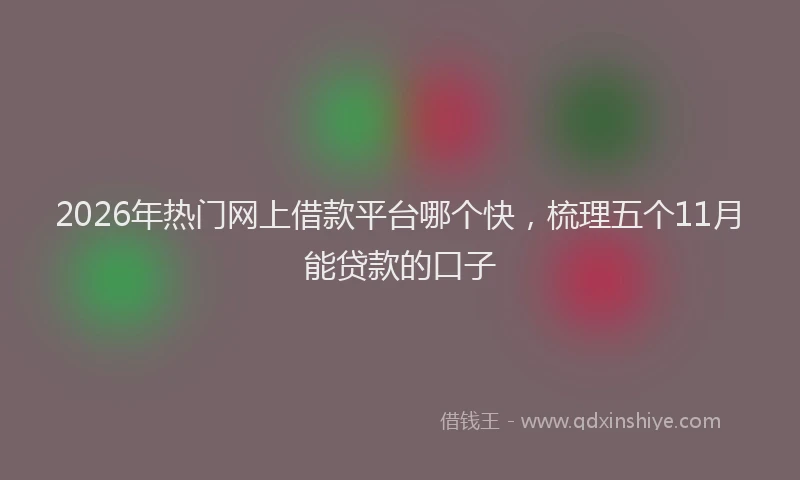 2026年热门网上借款平台哪个快，梳理五个11月能贷款的口子