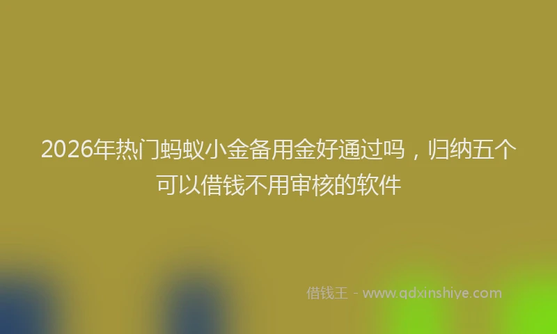 2026年热门蚂蚁小金备用金好通过吗，归纳五个可以借钱不用审核的软件