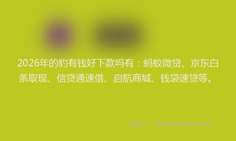 2026年的豹有钱好下款吗有：蚂蚁微贷、京东白条取现、信贷通速借、启航商城、钱袋速贷等。