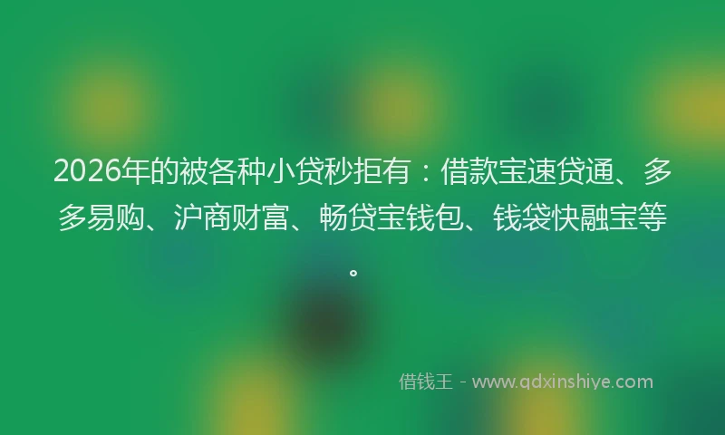 2026年的被各种小贷秒拒有：借款宝速贷通、多多易购、沪商财富、畅贷宝钱包、钱袋快融宝等。