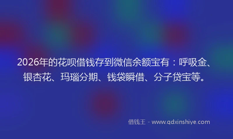2026年的花呗借钱存到微信余额宝有：呼吸金、银杏花、玛瑙分期、钱袋瞬借、分子贷宝等。