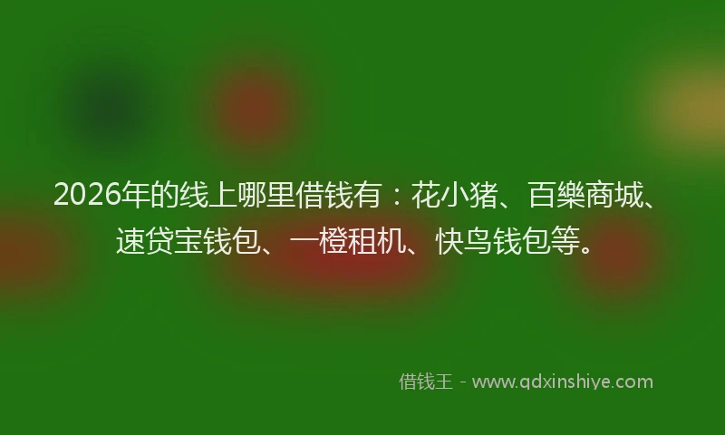 2026年的线上哪里借钱有：花小猪、百樂商城、速贷宝钱包、一橙租机、快鸟钱包等。