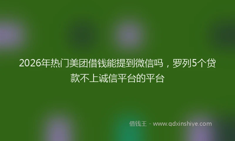 2026年热门美团借钱能提到微信吗，罗列5个贷款不上诚信平台的平台