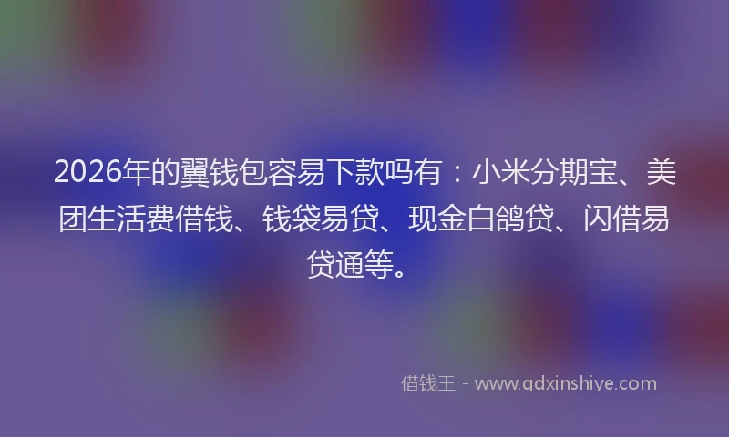 2026年的翼钱包容易下款吗有：小米分期宝、美团生活费借钱、钱袋易贷、现金白鸽贷、闪借易贷通等。