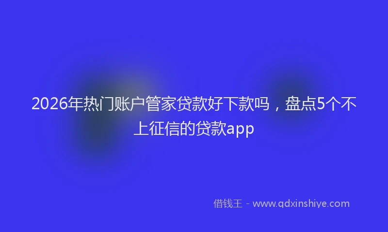 2026年热门账户管家贷款好下款吗，盘点5个不上征信的贷款app