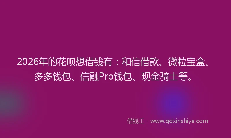 2026年的花呗想借钱有：和信借款、微粒宝盒、多多钱包、信融Pro钱包、现金骑士等。