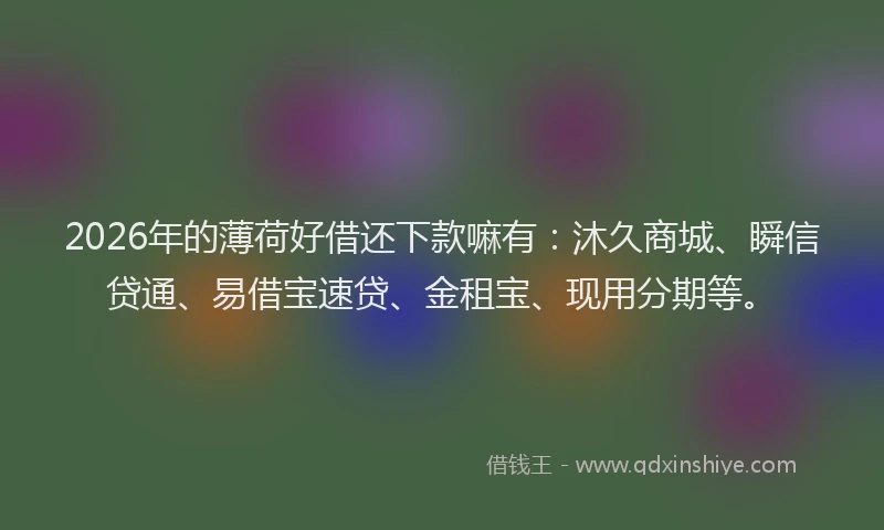 2026年的薄荷好借还下款嘛有：沐久商城、瞬信贷通、易借宝速贷、金租宝、现用分期等。