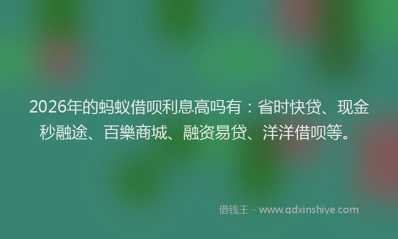 2026年的蚂蚁借呗利息高吗有：省时快贷、现金秒融途、百樂商城、融资易贷、洋洋借呗等。
