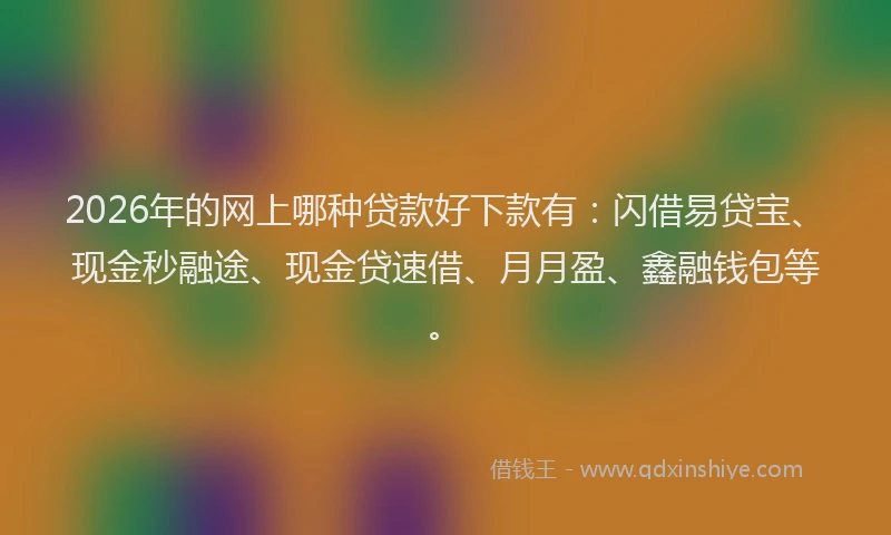 2026年的网上哪种贷款好下款有：闪借易贷宝、现金秒融途、现金贷速借、月月盈、鑫融钱包等。