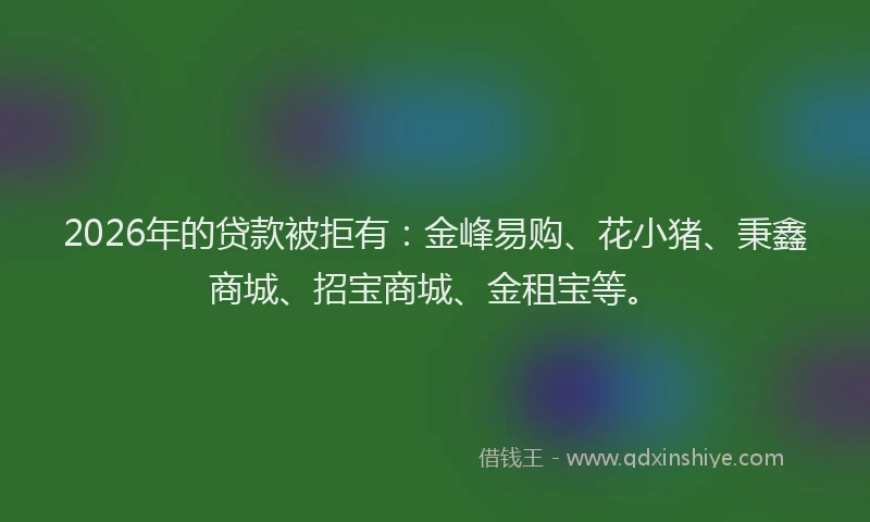2026年的贷款被拒有：金峰易购、花小猪、秉鑫商城、招宝商城、金租宝等。