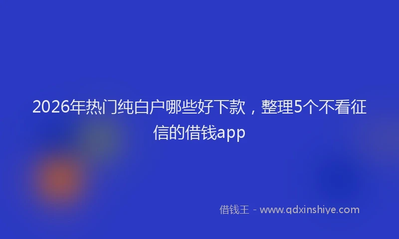 2026年热门纯白户哪些好下款，整理5个不看征信的借钱app