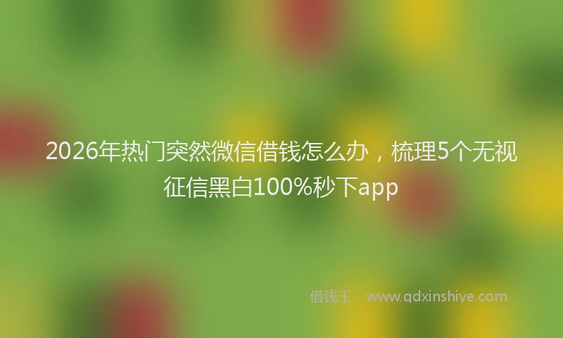 2026年热门突然微信借钱怎么办，梳理5个无视征信黑白100%秒下app