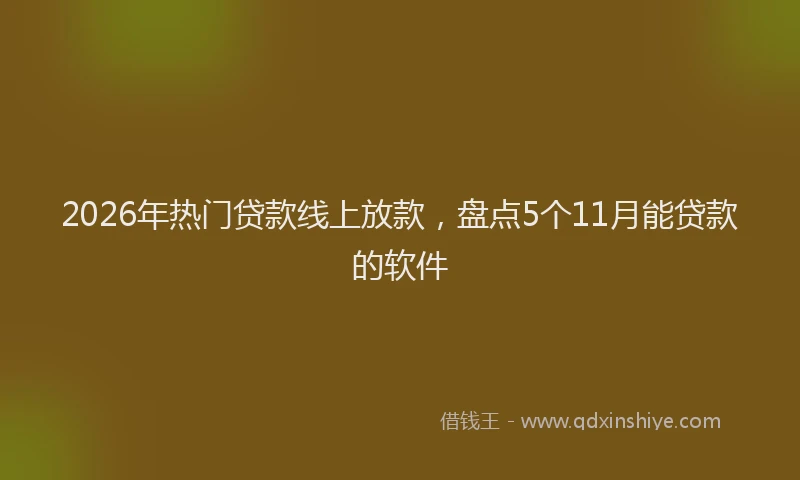 2026年热门贷款线上放款，盘点5个11月能贷款的软件
