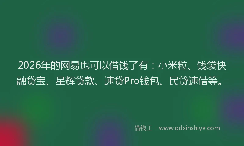 2026年的网易也可以借钱了有：小米粒、钱袋快融贷宝、星辉贷款、速贷Pro钱包、民贷速借等。