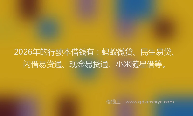 2026年的行驶本借钱有：蚂蚁微贷、民生易贷、闪借易贷通、现金易贷通、小米随星借等。