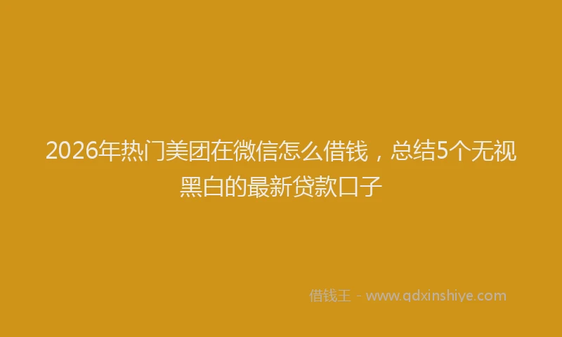 2026年热门美团在微信怎么借钱，总结5个无视黑白的最新贷款口子