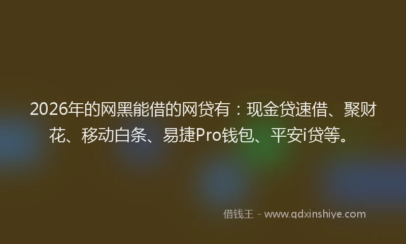 2026年的网黑能借的网贷有：现金贷速借、聚财花、移动白条、易捷Pro钱包、平安i贷等。