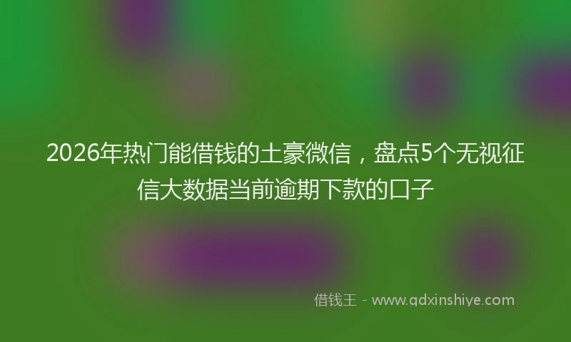 2026年热门能借钱的土豪微信，盘点5个无视征信大数据当前逾期下款的口子
