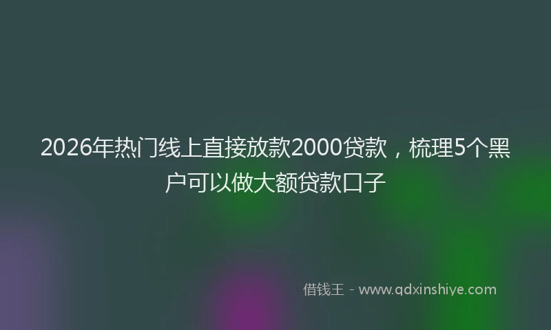 2026年热门线上直接放款2000贷款，梳理5个黑户可以做大额贷款口子