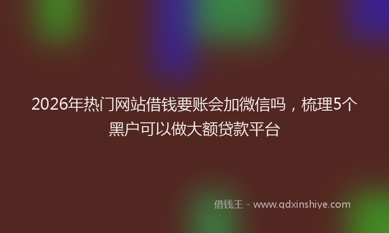 2026年热门网站借钱要账会加微信吗，梳理5个黑户可以做大额贷款平台