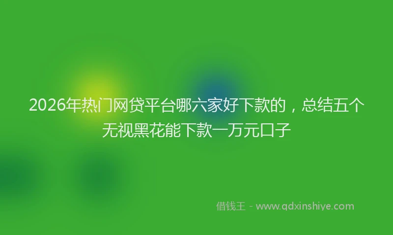 2026年热门网贷平台哪六家好下款的，总结五个无视黑花能下款一万元口子