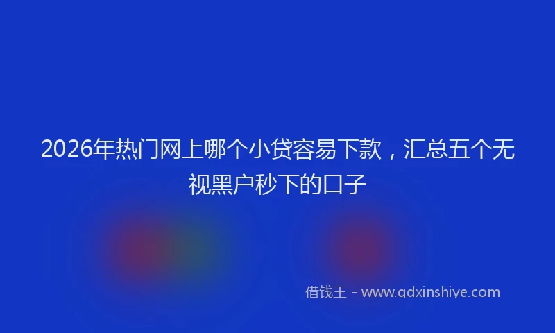 2026年热门网上哪个小贷容易下款，汇总五个无视黑户秒下的口子