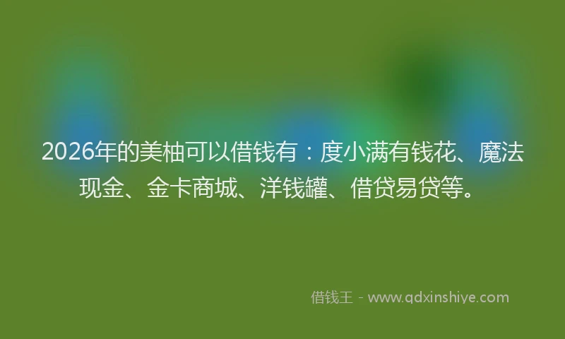 2026年的美柚可以借钱有：度小满有钱花、魔法现金、金卡商城、洋钱罐、借贷易贷等。