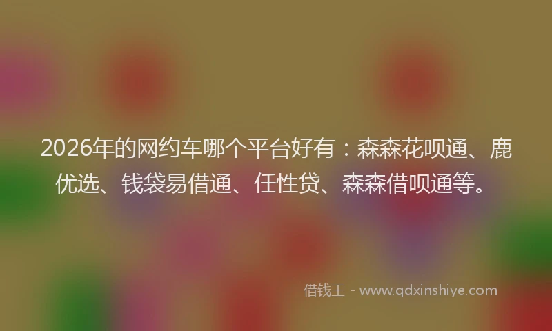 2026年的网约车哪个平台好有：森森花呗通、鹿优选、钱袋易借通、任性贷、森森借呗通等。