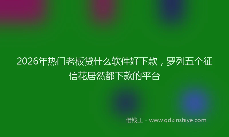 2026年热门老板贷什么软件好下款，罗列五个征信花居然都下款的平台