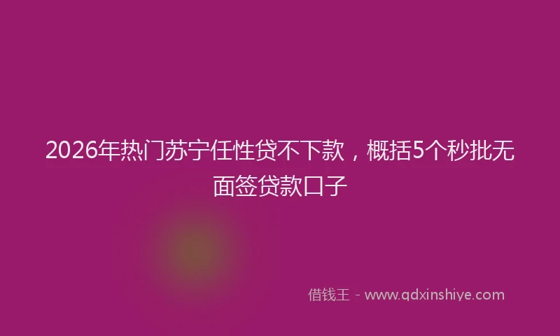2026年热门苏宁任性贷不下款,概括5个秒批无面签贷款口子