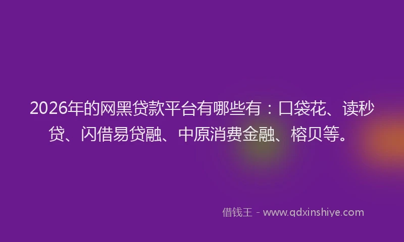 2026年的网黑贷款平台有哪些有：口袋花、读秒贷、闪借易贷融、中原消费金融、榕贝等。
