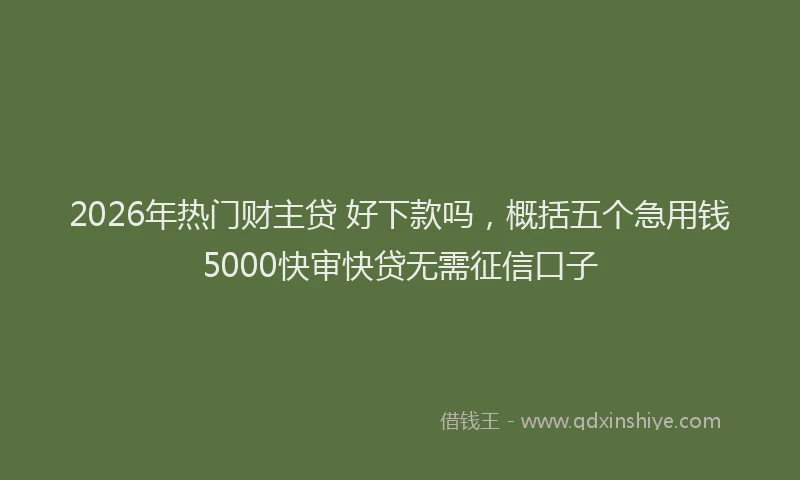 2026年热门财主贷 好下款吗，概括五个急用钱5000快审快贷无需征信口子