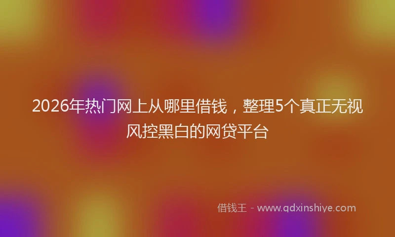 2026年热门网上从哪里借钱，整理5个真正无视风控黑白的网贷平台