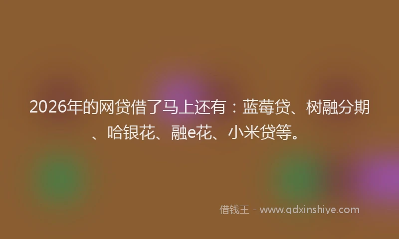 2026年的网贷借了马上还有：蓝莓贷、树融分期、哈银花、融e花、小米贷等。