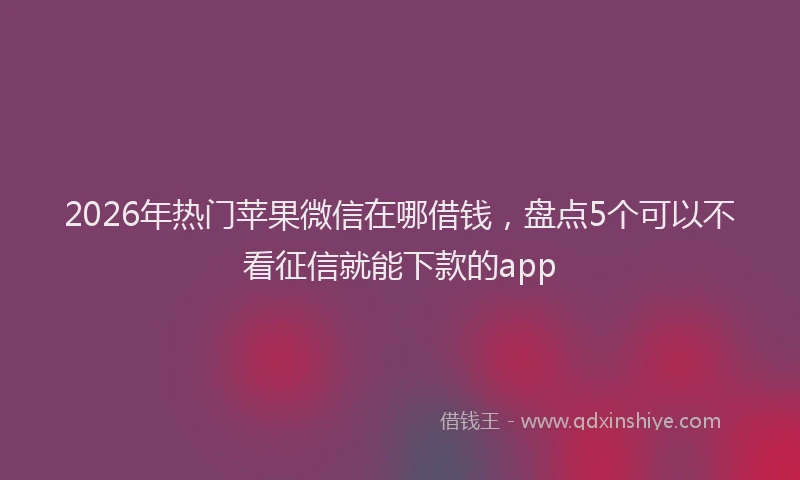 2026年热门苹果微信在哪借钱，盘点5个可以不看征信就能下款的app