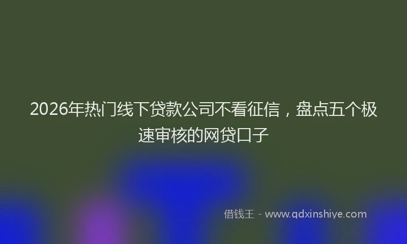 2026年热门线下贷款公司不看征信，盘点五个极速审核的网贷口子