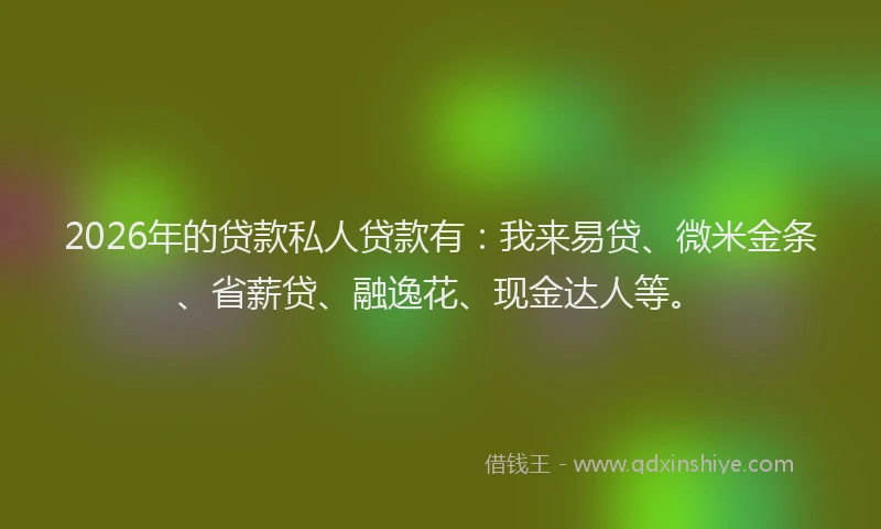 2026年的贷款私人贷款有：我来易贷、微米金条、省薪贷、融逸花、现金达人等。