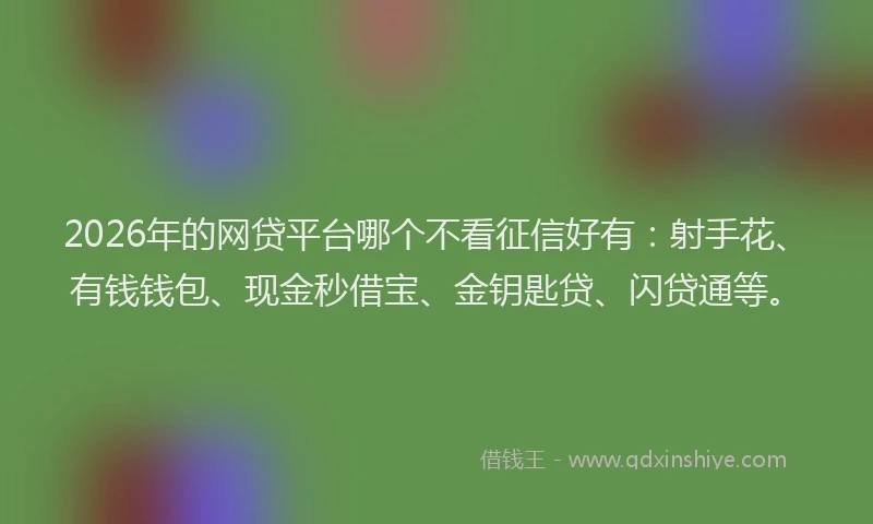 2026年的网贷平台哪个不看征信好有：射手花、有钱钱包、现金秒借宝、金钥匙贷、闪贷通等。